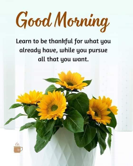 Blessed and Fruitful Sunday
Colossians 3:23