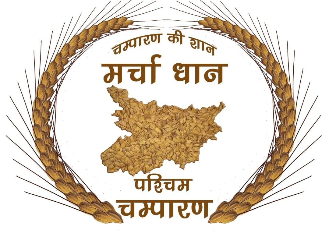 SanjayAgarw_IAS's tweet photo. बिहार के चम्पारण की शान , मर्चा धान को मिला जीआई टैग। बिहार के लिए गौरव का विषय। मर्चा धान, चावल, चूड़ा अपने स्वाद, खुशबू एवं पोषक तत्वों के कारण सर्वत्र प्रसिद्ध हैं।

राज्य के अब छः कृषि उत्पाद को जीआई टैग। 
सभी किसानों तथा पदाधिकारीयों को बधाई। https://t.co/6tAOWWh2dh