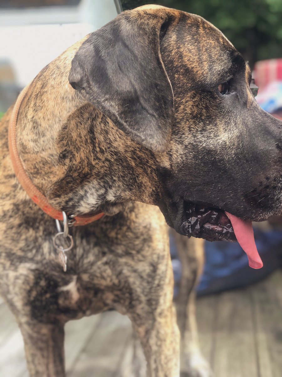 BMRTRADERS tweet media