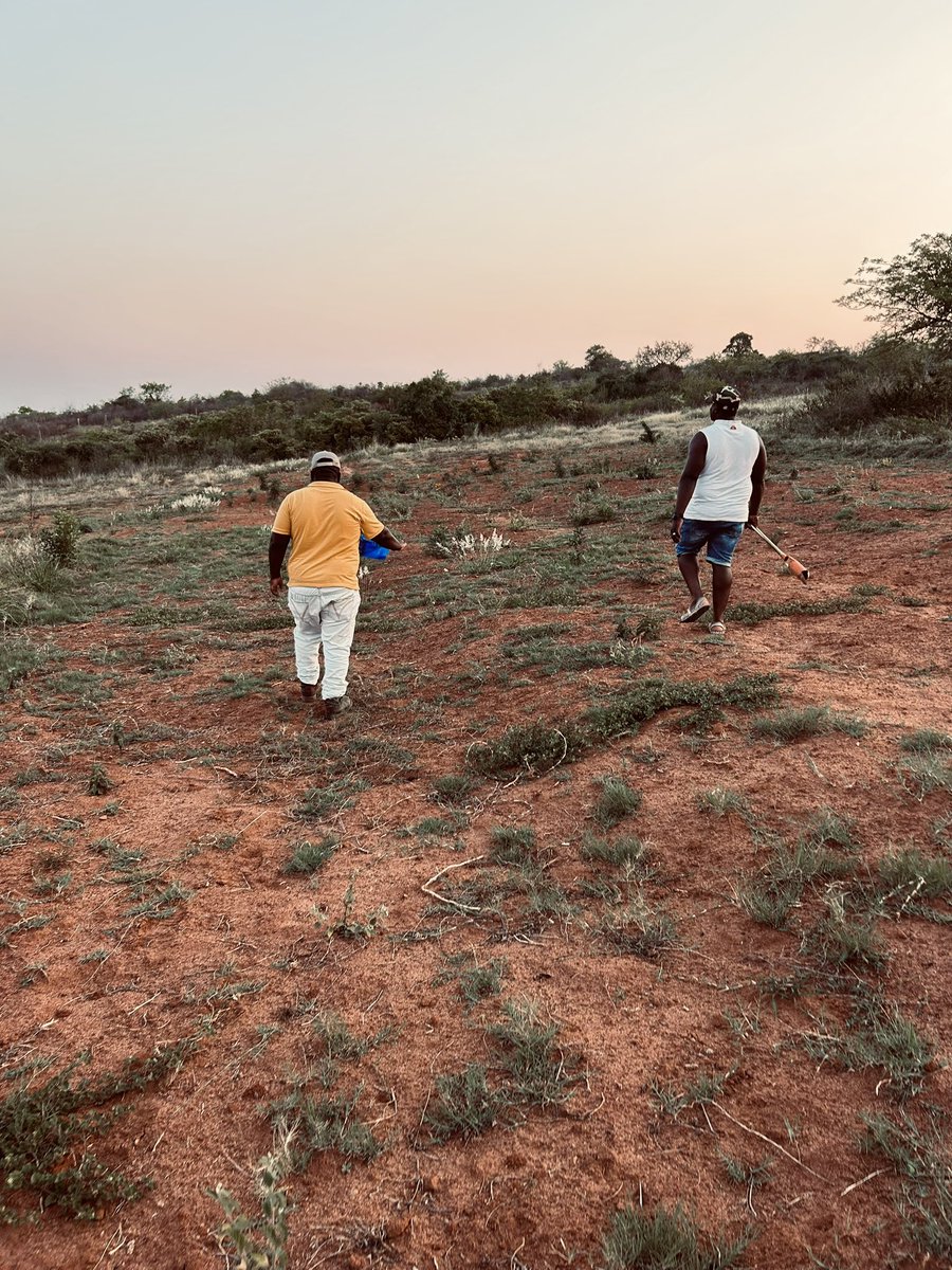 BenicaTheFarmer's tweet photo. Soil sample 
Quality produce is influenced by soil nutrients therefore soil testing is critical; don’t compromise this stage because this will guide you as to what is needed in your soil or which fertiliser is needed. 
You don’t just do soil prep and plant bathong please🥲 https://t.co/w6sRGgDTy2