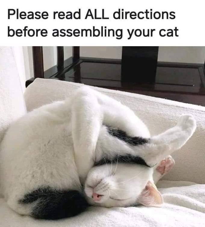 meow2you's tweet image. It appears the manufacturer has left out some of the parts. Why are the directions in another language? 😻😹😸
#ManufacturingDay 

@ThePhilosopurr @GeneralCattis @HarryCatPurrs @CatFanatic9 @LuminousNumino1 @TERRYW_UK @PeterRABBIT67 @briano29 @eliznoelle @EringoB02429272 @lymeist