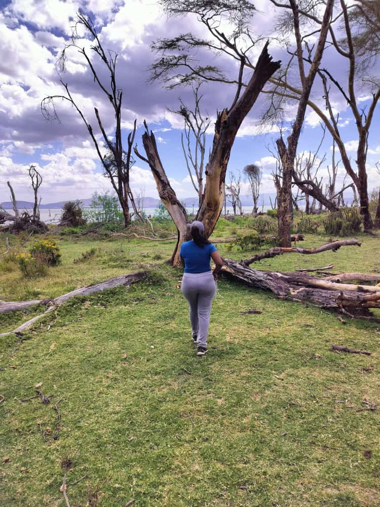 Sometimes all the soul needs is a walk in nature.

They call me Queen of the North

#nature
#magicalkenya