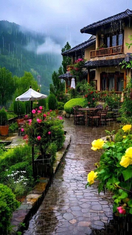 Anes101441292's tweet photo. Good morning my friends happy☕️🙋‍♂️ Sunday 🌺🌼🌻💜 https://t.co/TLGjVFBxXL