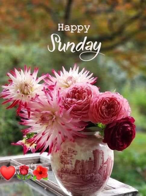 DoctorMohdFazil's tweet photo. @MirnaJamal4 https://t.co/HABWKHIqNK