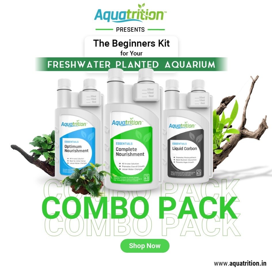 Aqua_trition's tweet photo. ๐ฑ Start strong with Aquatrition's Beginner's Kit: Optimum Nourishment, Complete Nourishment, and Liquid Carbon. Give your aquatic plants the best care they deserve! ๐ฟ #Aquatrition #AquaticPlants #aquascapingindia #plantedaquarium #freshwateraquarium #beginnerkit #combokit https://t.co/J4iszvUDCp