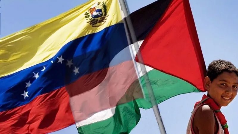 Comando_Activo1's tweet image. 🇻🇪🇵🇸✌🏽 Venezuela con Palestina