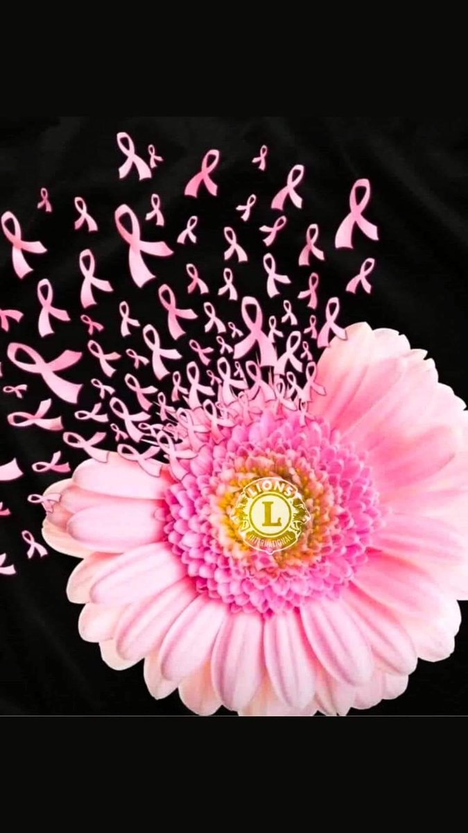 Octobre Rose. Mois du dépistage des cancers féminins. Agissons