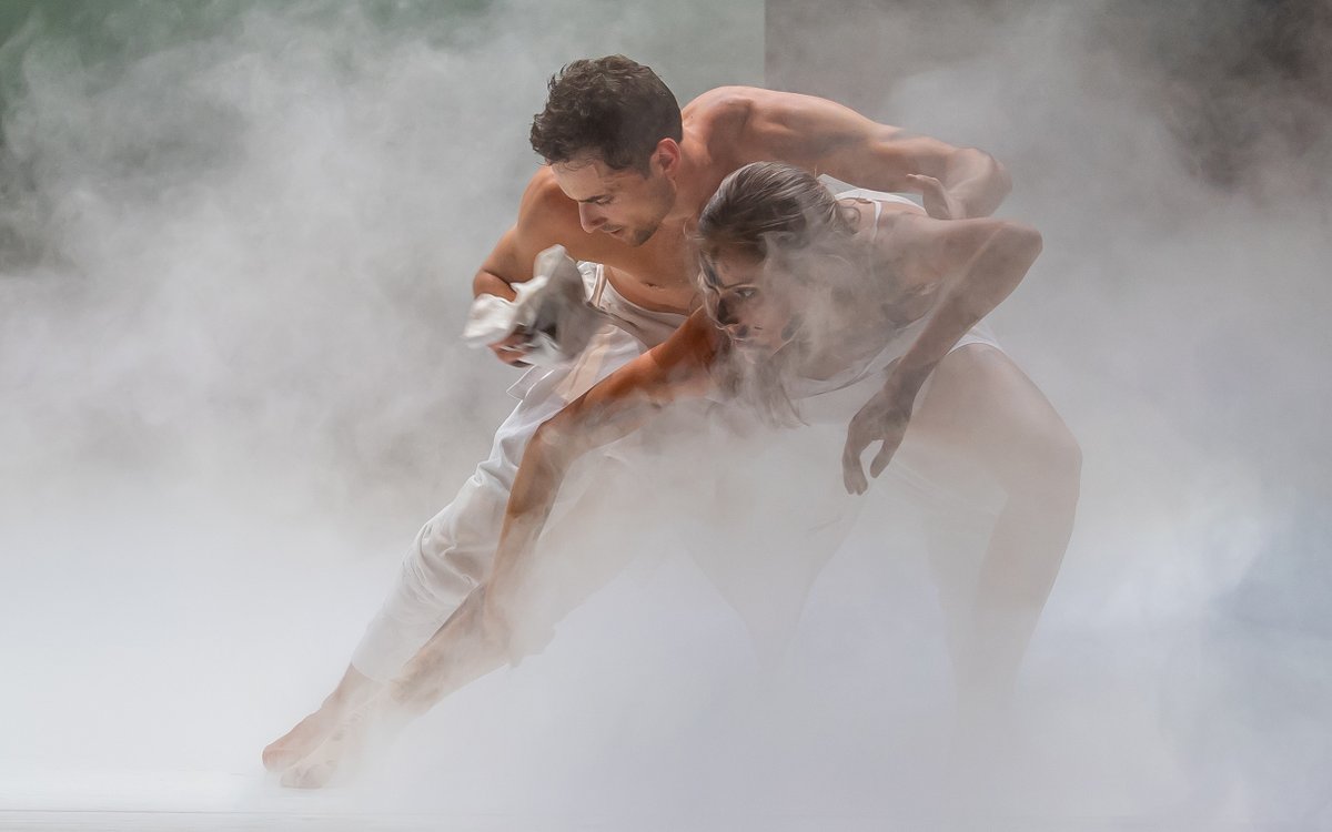 “De drie choreografieën in FALL zijn heel uitdagend en imposant, er gaat tegelijkertijd ook een serene, meditatieve kracht van uit.' aldus Roel Voorintholt, artistiek directeur van Introdans. Benieuwd geworden? Meer info: introdans.nl/programma/fall/