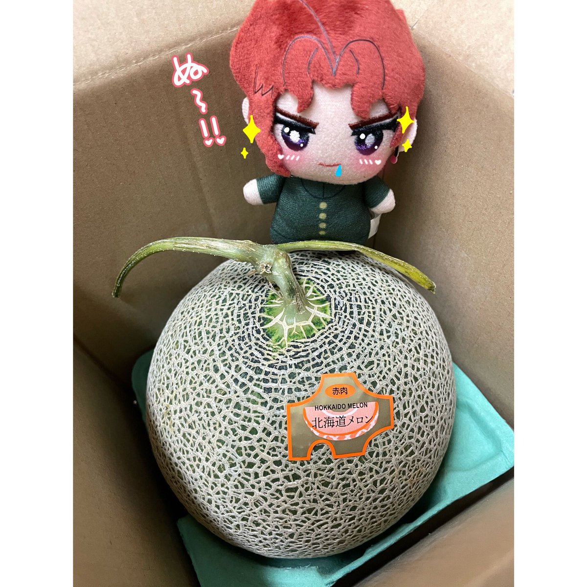 _nu_san's tweet photo. 立派な🍈ちゃんが届いた〜！ちみのりも喜んでる🥰 https://t.co/hE8MHSIwwC