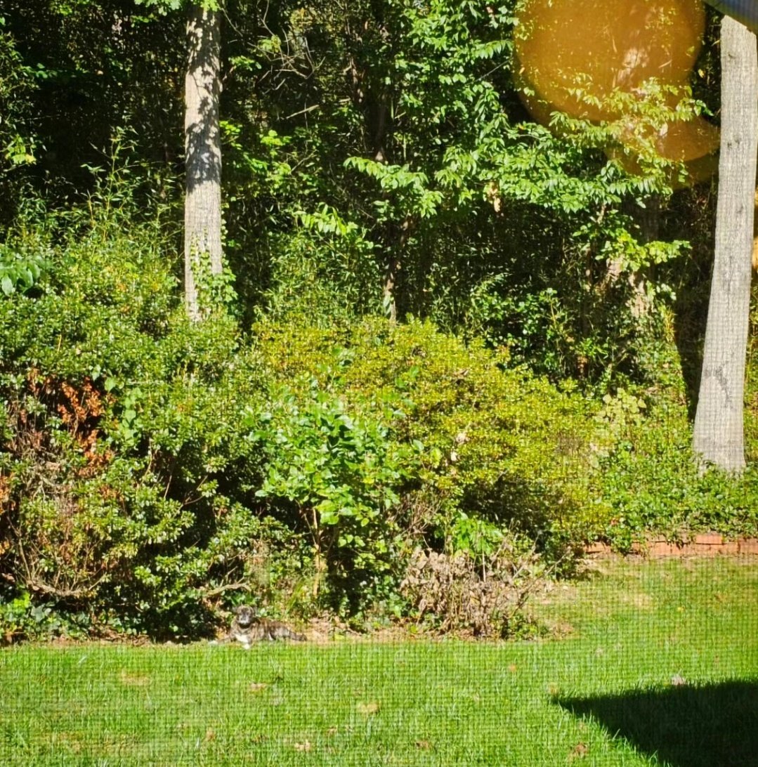 funaek's tweet photo. Find Monkey! #wheresmonkey https://t.co/Zx2te6PhlP