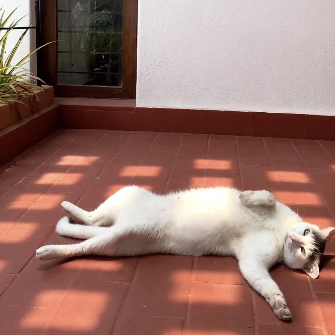 rickybahrey's tweet photo. Looking for a flatmate to join us in our 5BHK house in Indiranagar, only a 5-minute walk from Empire Restaurant.
@BangaloreRoomi @fmrbangalore @peakbengaluru @twitrbnb https://t.co/V4fRvuqIl5