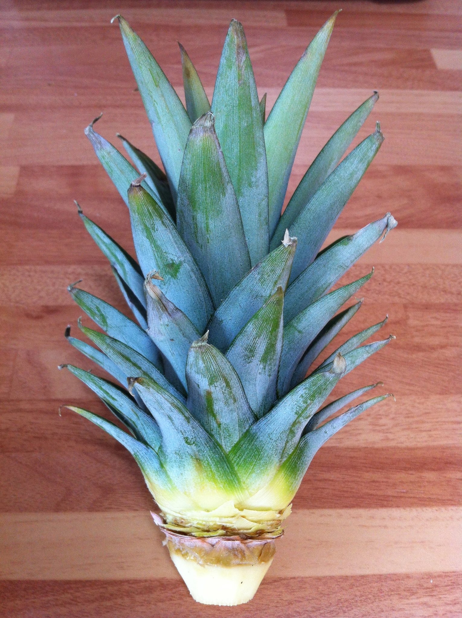 Pineapples for sore throat top