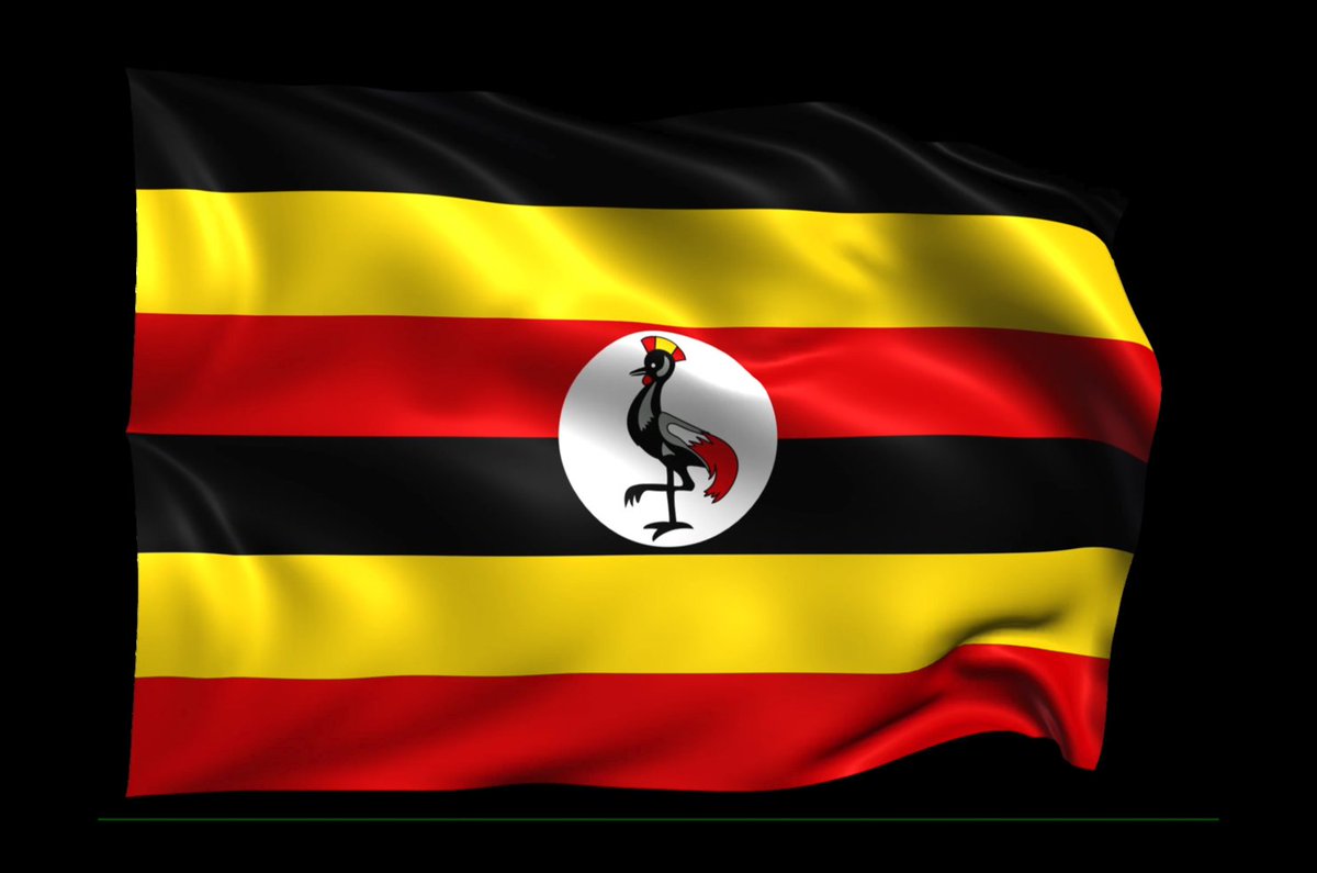 The face               The flag happy independence day uganda