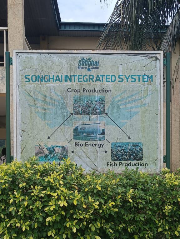 bobbyemmanuel2's tweet image. @SimFubaraKSC to revamp the Agricultural Sector of Rivers State. 

#workingsim
#SimMediaVolunteers 

Deposit Abiodun Gaza