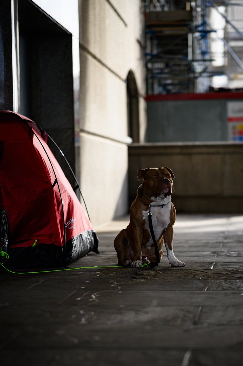 Ginger_Photos's tweet photo. Few more from our lovely trip to London - The z85 1.8 has produced some great photos! 

#nikonphotography #London #urbanphotography #streetphotography https://t.co/lXhm8oMHc6