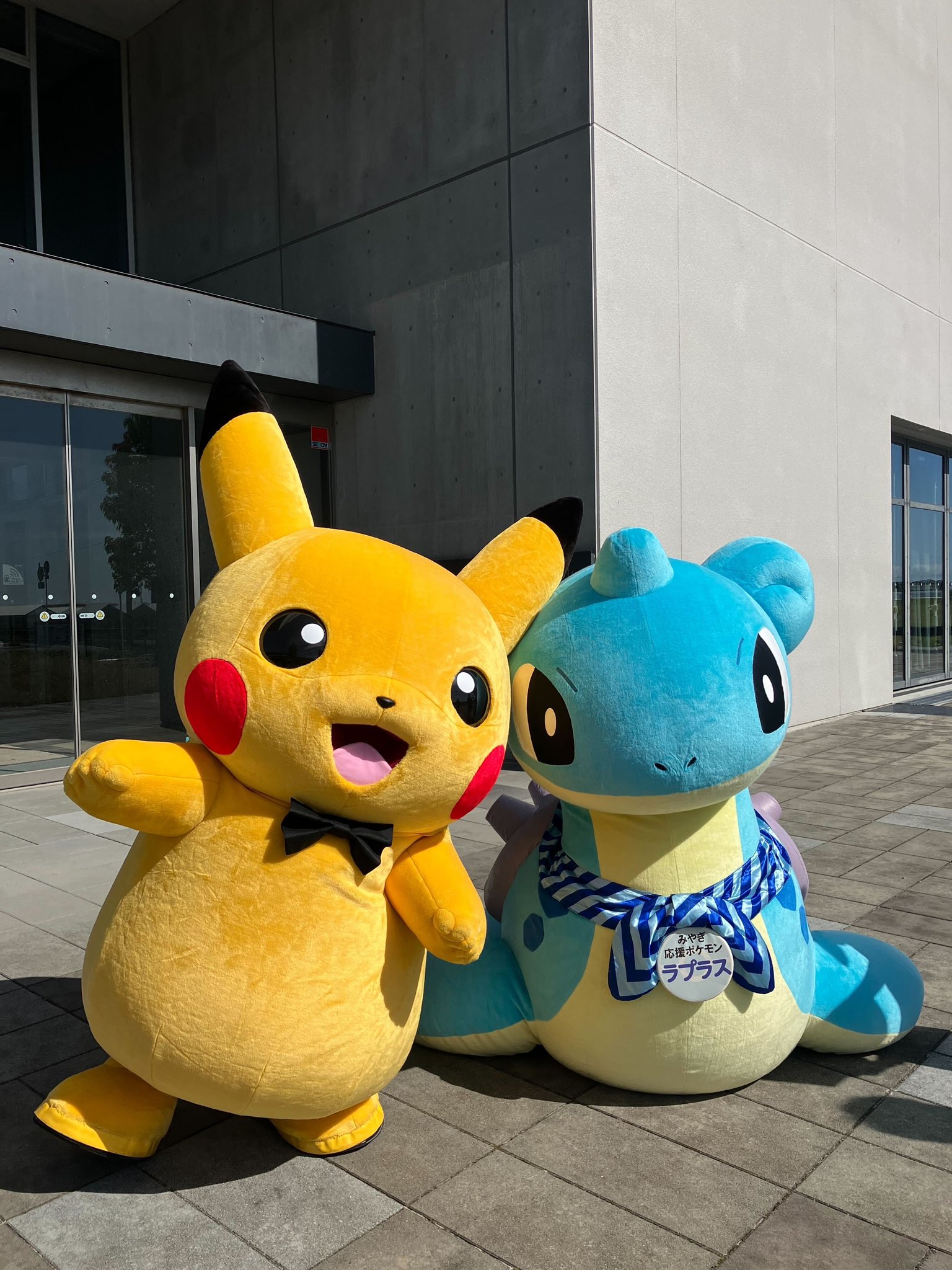ポケモンだいすきクラブ編集部【公式】 on X: ポケモンだいすきクラブ編集部【公式】 on X: