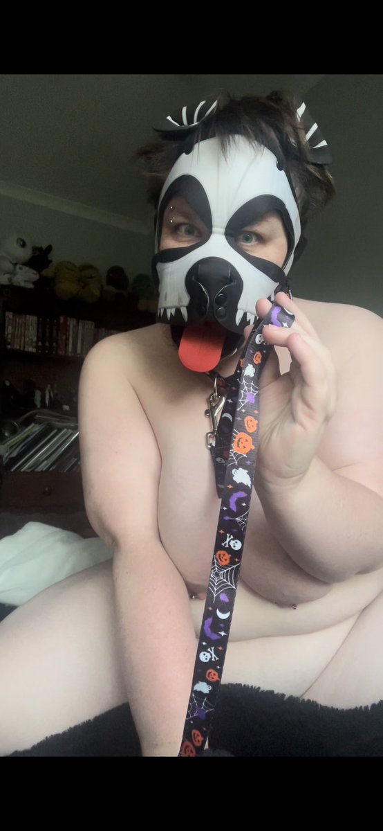 trouble_puppy's tweet photo. It’s mother f*cking Halloween! Which means pretty spooky thing!
I saw this leash and collar and hella had to have it! https://t.co/HXI6cvJGXo
