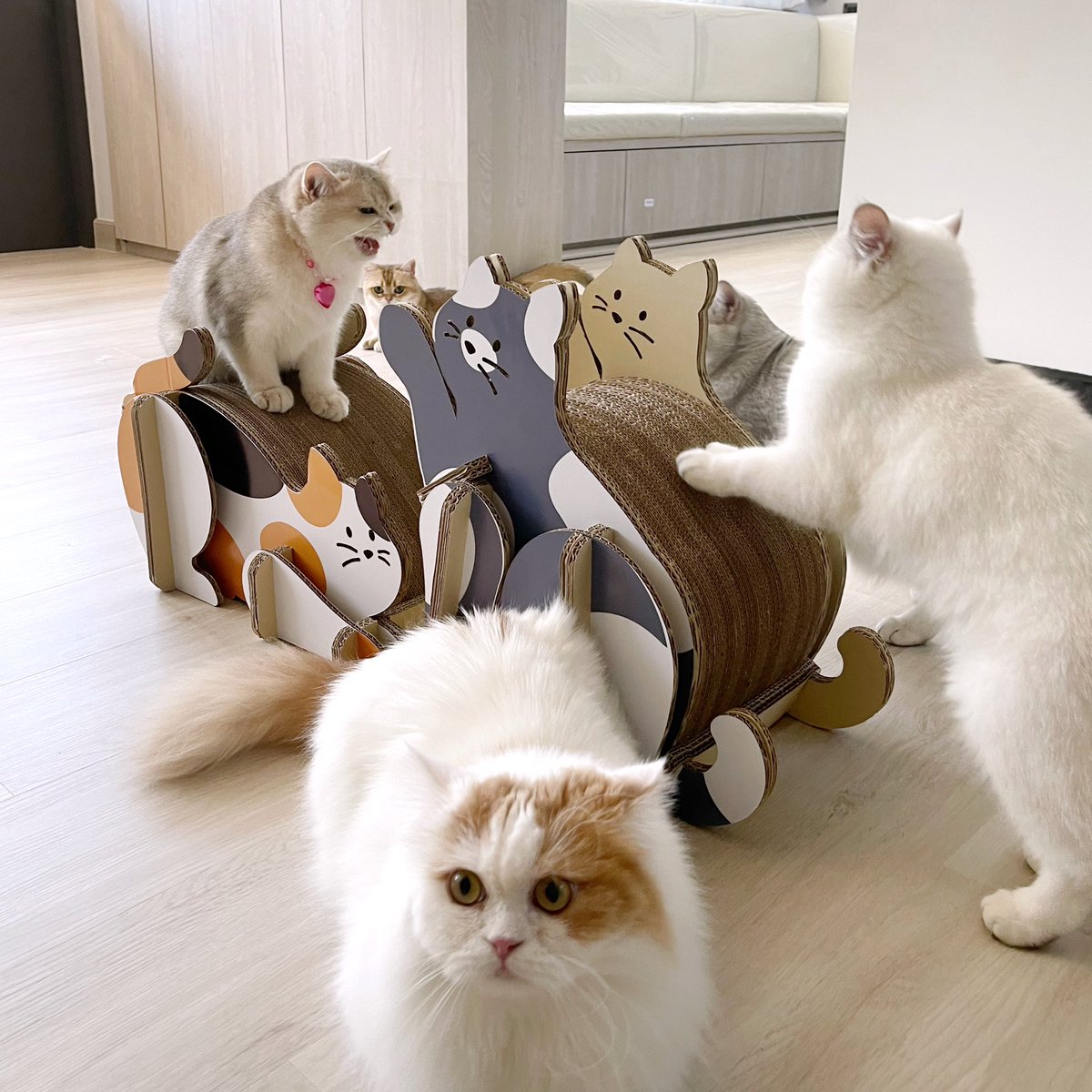 Bonusiie's tweet photo. ชั้นเป็นเพชร ส่วนหล่อนมันกระเบื้อง! https://t.co/Unh8viXSU5