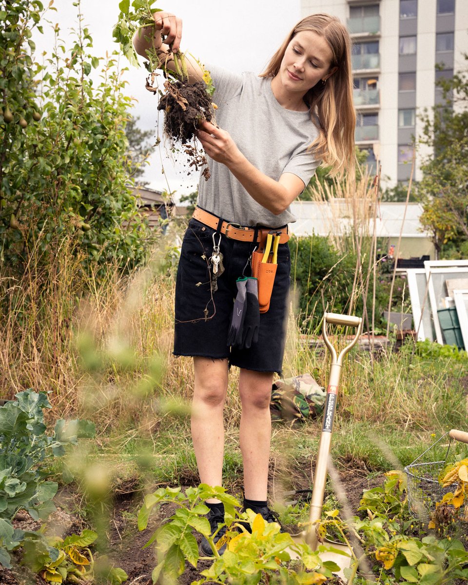 Have you visited Niwaki.com recently? Read all about ‘The Good Life’ with Sarah on her London allotment &amp; be sure to navigate to the Shows &amp; Events page to see what's planned in October &amp; beyond. Heads up: there’s a Niwaki HQ Open Day planned for Saturday 18 November