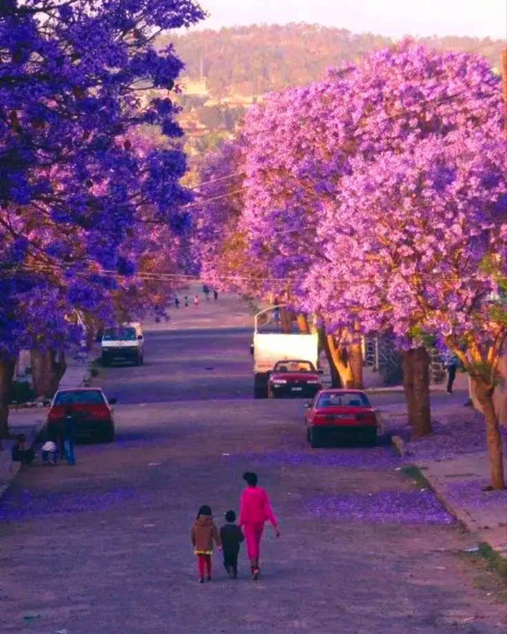 HadnetHayli tweet picture