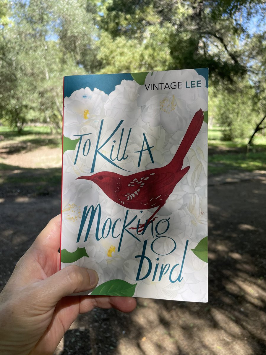 dabreu67's tweet photo. #book #classic #harperlee #mockingbird #equality https://t.co/EUVViC5BL1