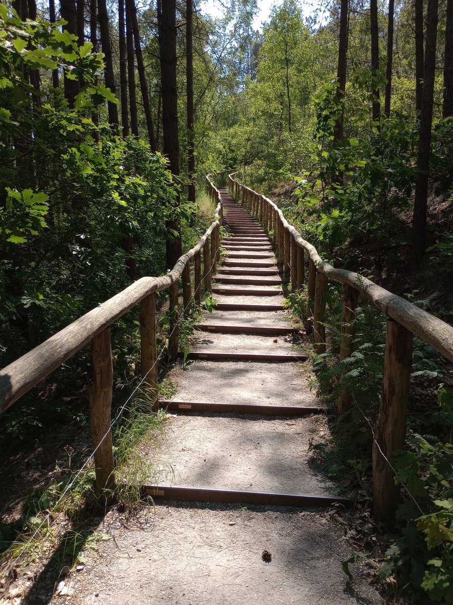 Nutwerk's tweet photo. Verjaardag kleindochter en vanmiddag wandelen. #afwezig https://t.co/45cwTIRObt