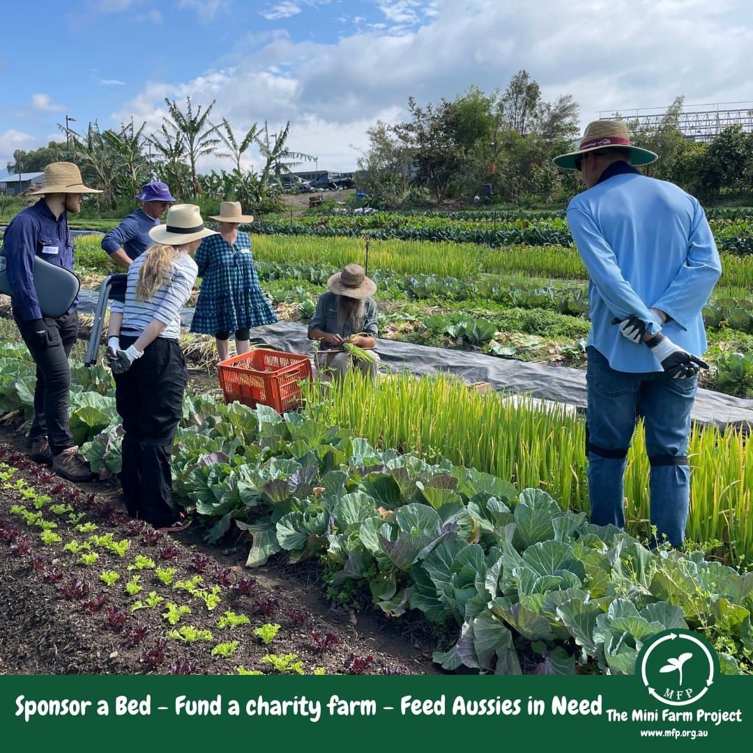 Let's GROW! We are Building #Farms to #Feed Aussie's in Need! WHY? Because there are now over 1 in 5 Households experiencing severe food insecurity. You can help by sponsoring a bed. Find out more - bit.ly/sponsorabedall #endhunger