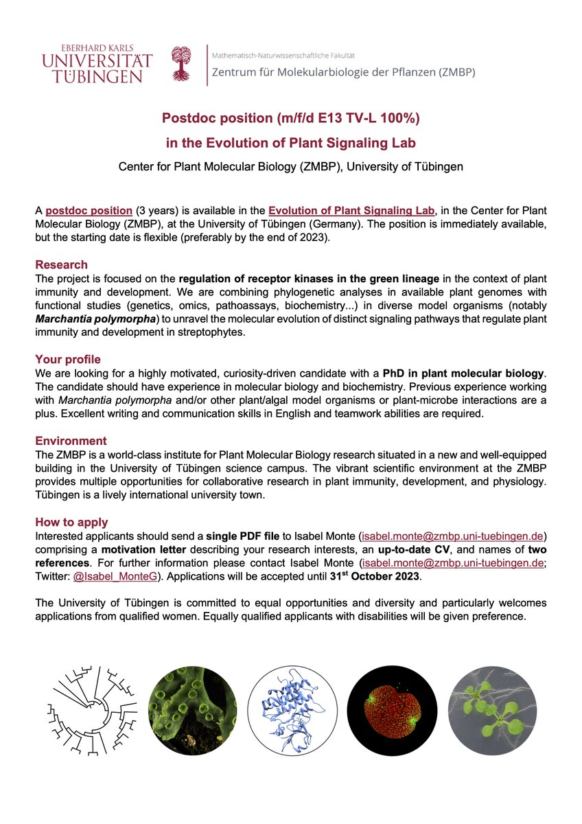 📢 Job alert! 👩‍🔬🌱🦠🧑‍🔬
Are you interested in #PlantEvolution, receptor kinases and/or immunity? Do you have a PhD in plant molecular biology? This position might be for you 👇
We are looking for a #postdoc to join our lab <a href="/ZMBP_Tuebingen/">ZMBP</a>
Please RT! 
#PlantSciJob