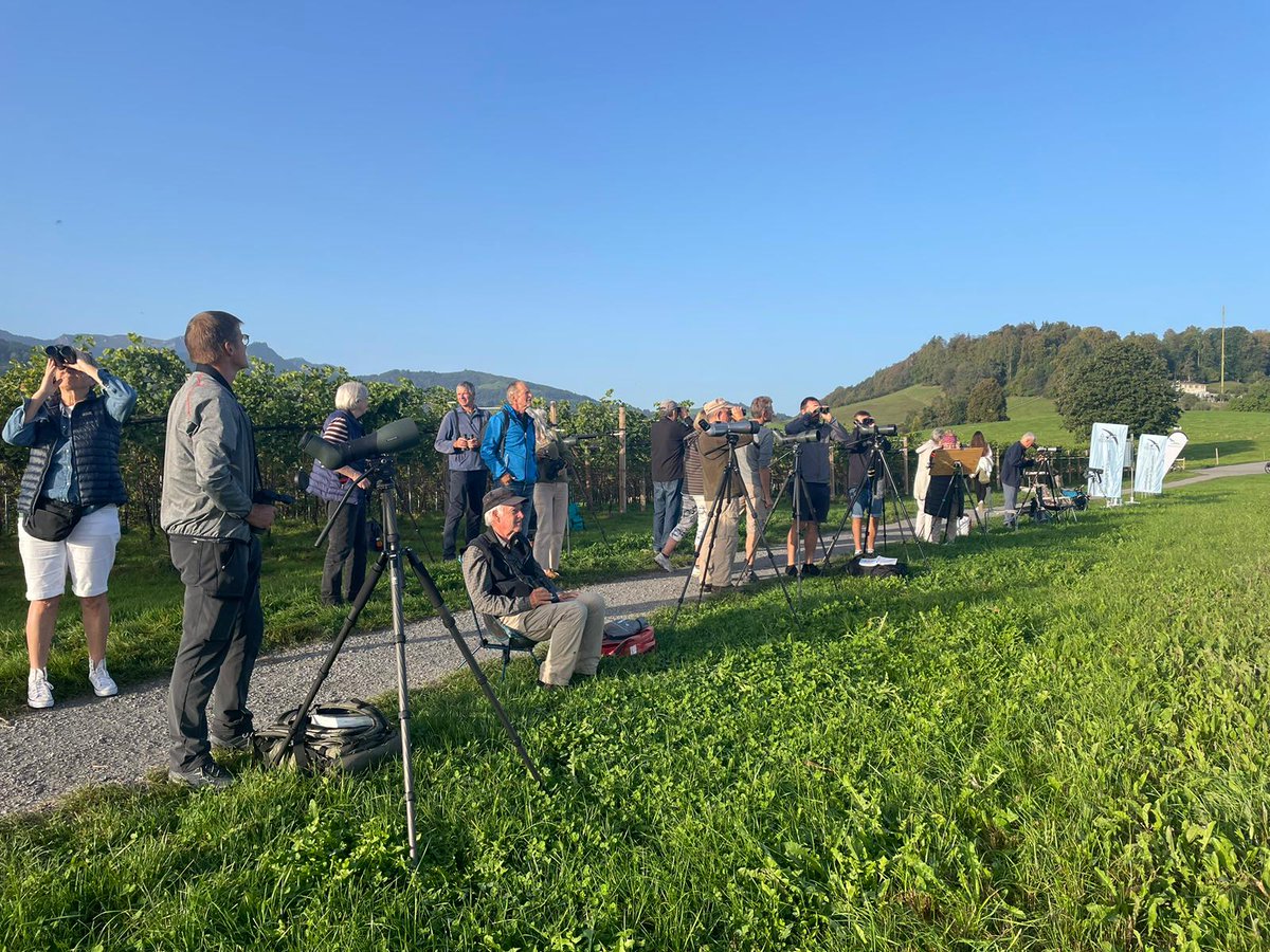 BirdLifeLU's tweet photo. Heute kann das #Naturspektakel #Vogelzug hautnah erlebt werden. Der #EuroBirdwatch findet im Kanton #Luzern ob #Entlebuch, #Kriens und #Ruswil statt. Vorbeikommen und staunen! https://t.co/oQiFwWJ3kF #JazurBiodiversitaet Foto Mäusebussard: Marcel Burkhardt https://t.co/4a6LuiGTwv