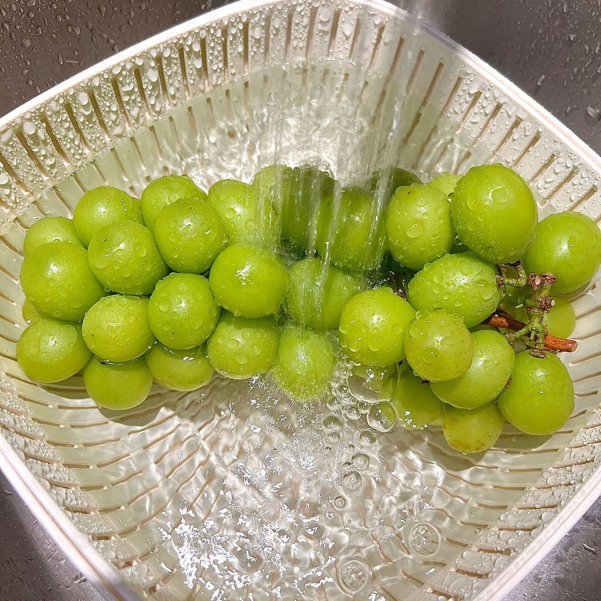 klinkation's tweet photo. Have a leisurely holiday, eat some grapes at home, supplement vitamins😋 https://t.co/8BCm2d5UcY