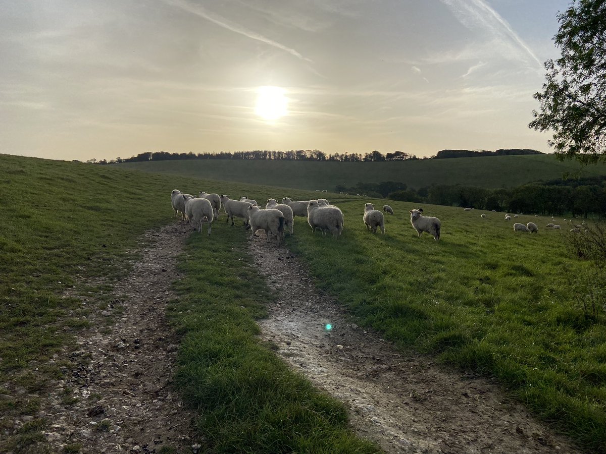 Good morning! #Brighton