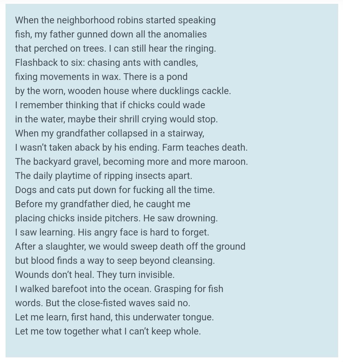 the poet / the poem