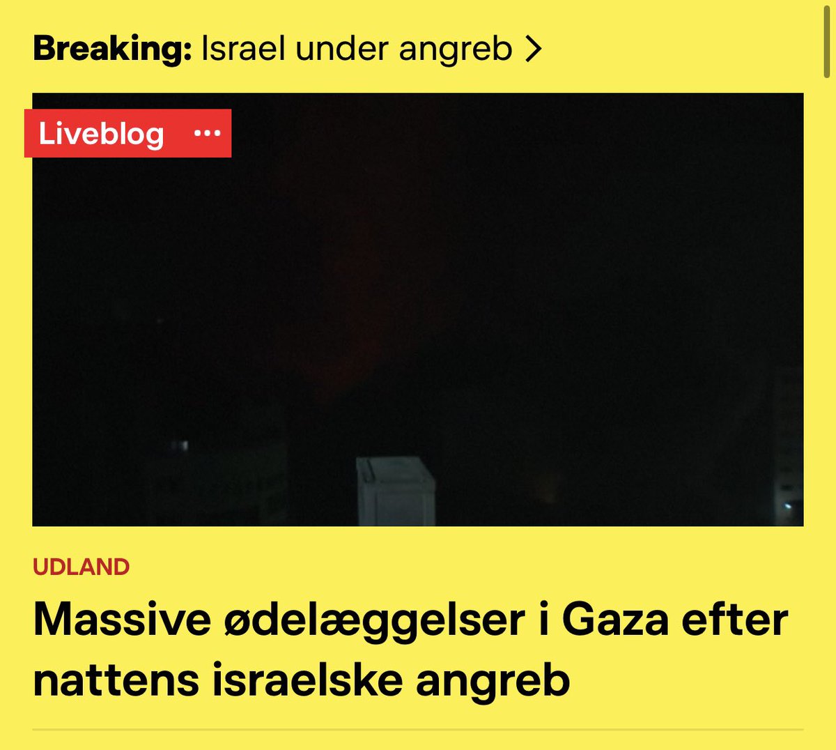 Leila Stockmarr tweet media