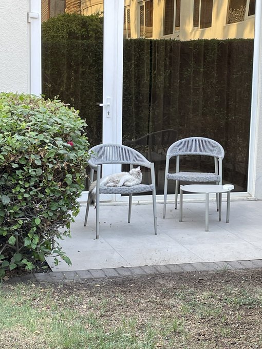 ドバイ猫かわいい https://t.co/GRAbogpFym<a href="/tag/sissy"class="tags"><span>#sissy</span></a><a href="/tag/crossdresser"class="tags"><span>#crossdresser</span></a><a href="/tag/mtf"class="tags"><span>#mtf</span></a><a href="/tag/%E7%94%B7%E3%81%AE%E5%A8%98"class="tags"><span>#男の娘</span></a><a href="/tag/fantia"class="tags"><span>#fantia</span></a><a href="/tag/%E4%BC%AA%E5%A8%98"class="tags"><span>#伪娘</span></a><a href="/tag/%E5%A5%B3%E8%A3%85"class="tags"><span>#女装</span></a>