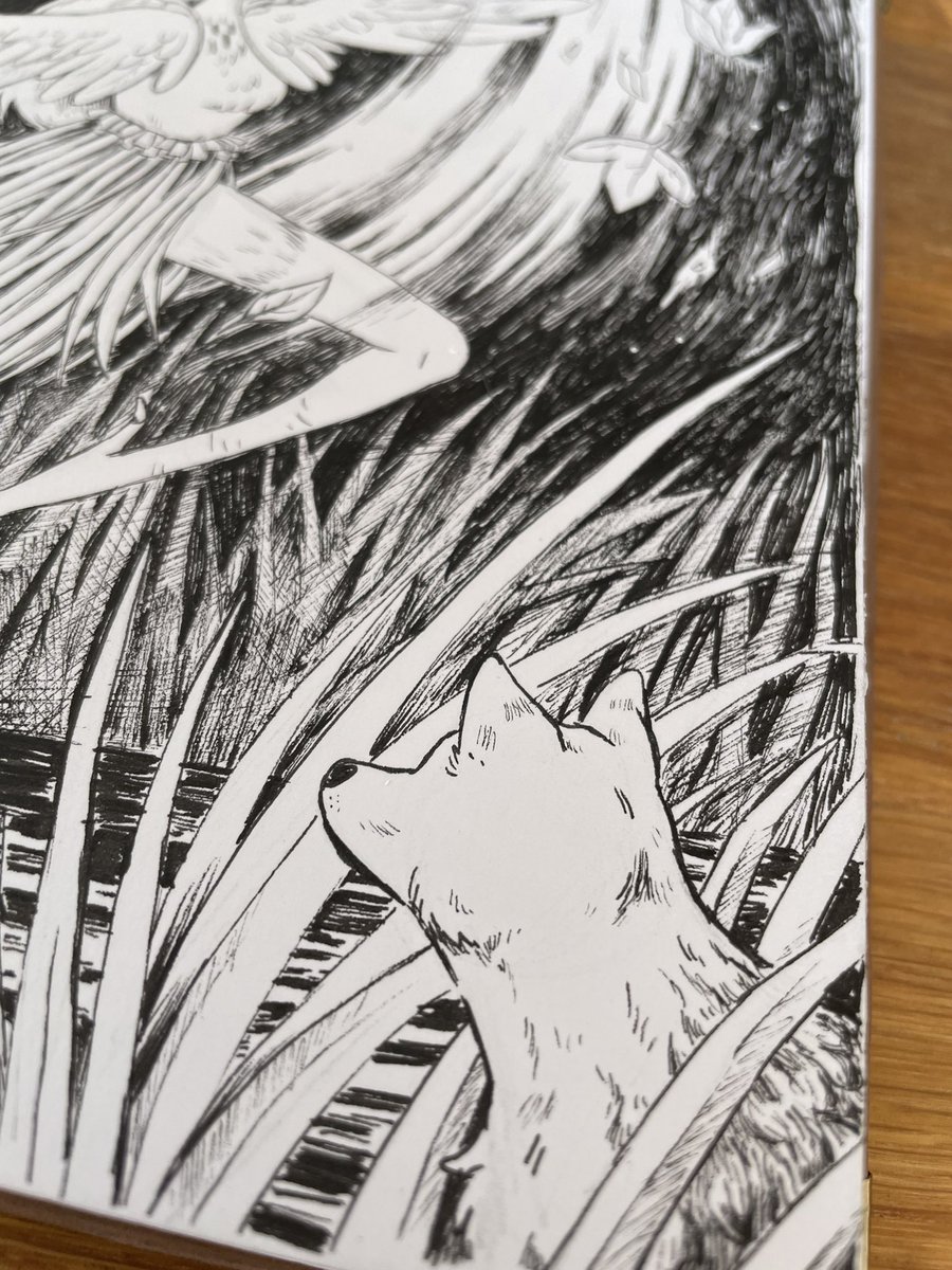 There’s a witch in the bog