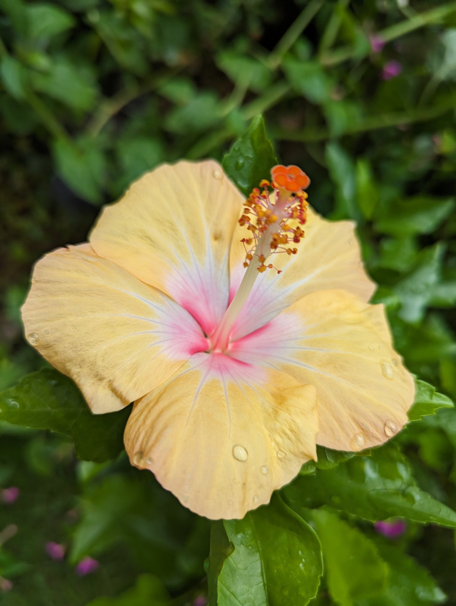 あ〜〜ままᙏ̤̫⑅*　10月10日 第1回弟会 – търсене / X