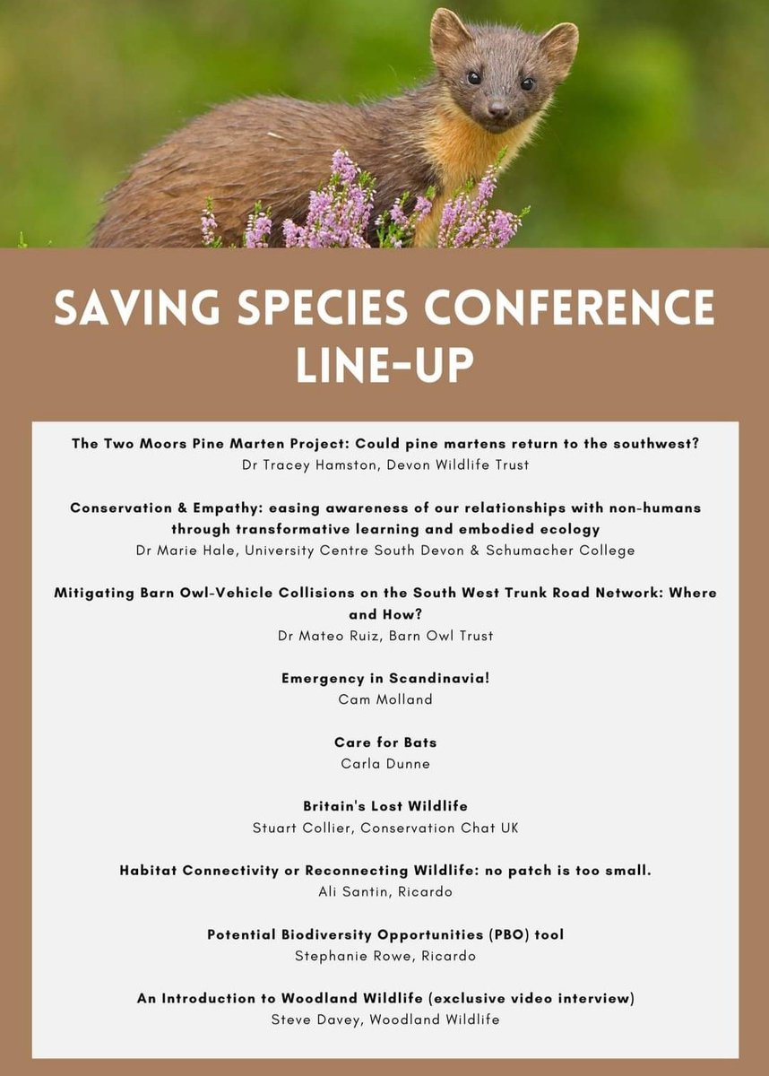 THIS OCTOBER!!! 🦋🌿🌎 📍Join us at South Devon College for the annual Saving Species Conference! Prepare to be inspired by our amazing lineup of speakers. ⬇️⬇️ You can buy your tickets here 🎫 eventbrite.co.uk/e/saving-speci… #animals #conservation #rewilding #wildlife #conference