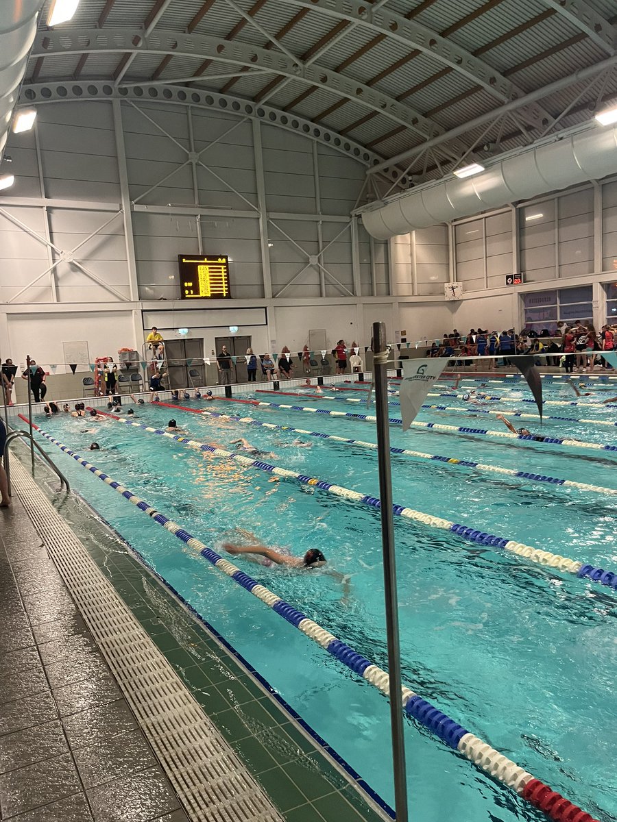 Gloucester City Swimming Club tweet media