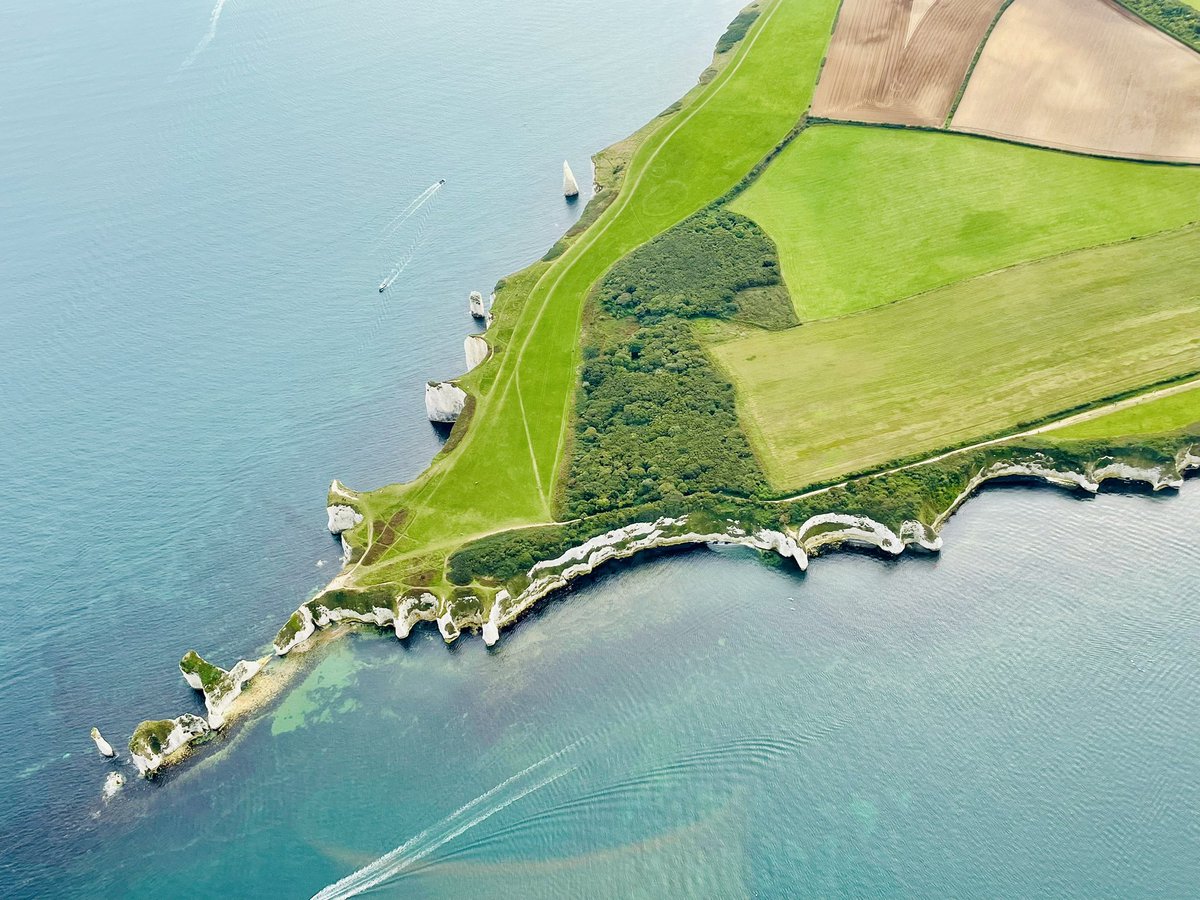 Luke Cope tweet media