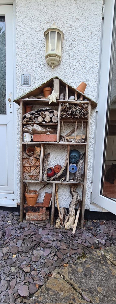 Our bug hotel was made from natural or recycled ♻️ materials for a school project. I love it! 🐌🦋🐛🐜🐝🪲🐞🦗🕷🪳🕸🪰
#bughouse #insects #nature #creepycrawlies #nurturenature #naturenurtures #bughotel #spiderweb