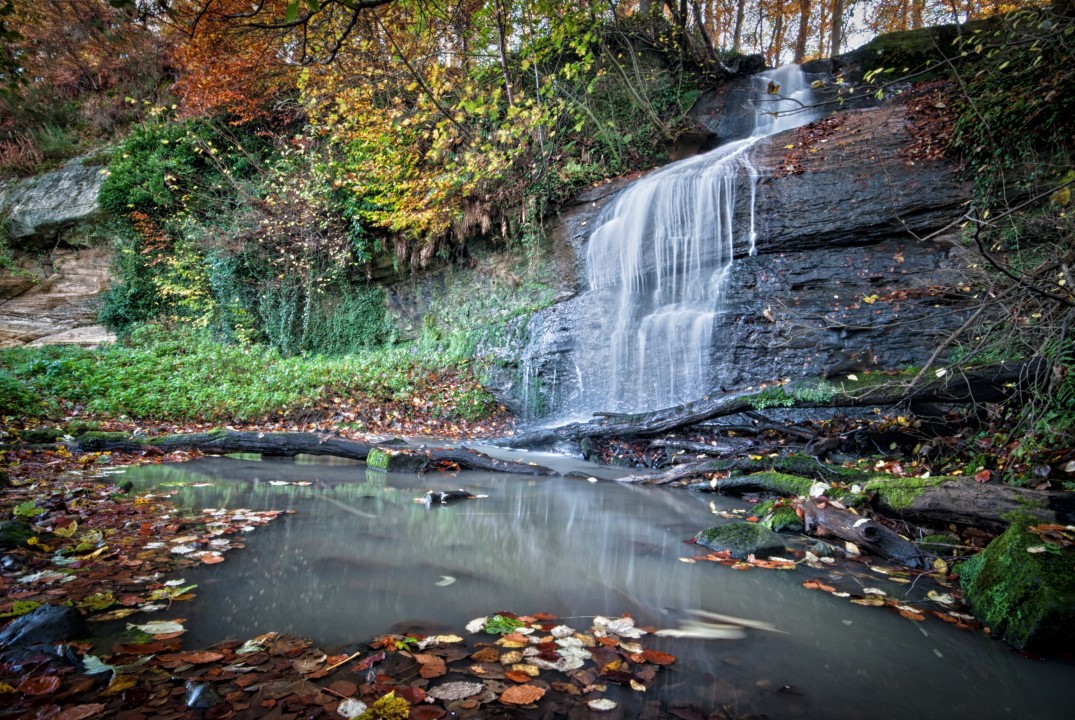 Love this autumnal looking view of Dura Den near #Cupar

#LoveFife #Fife #WelcomeToOurHome