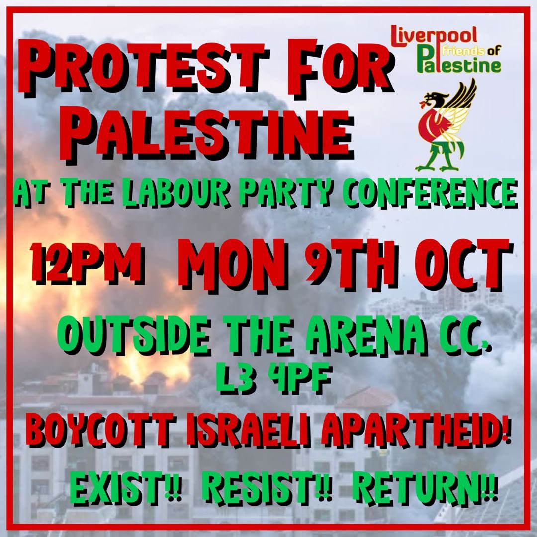 Kitdempsey's tweet image. 