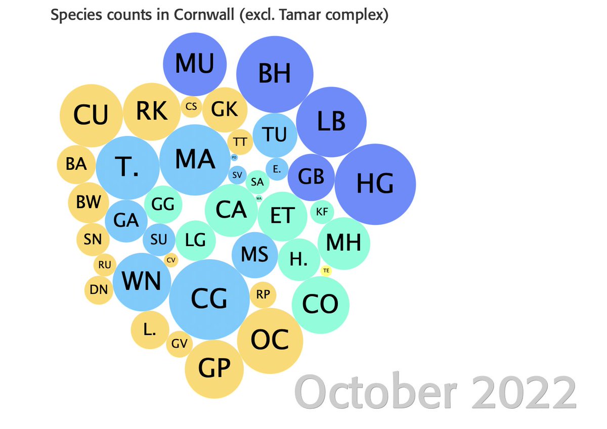 Reminder - Sunday Oct 15th Core Count for @WeBS_UK . Our most popular birds in the county for the October 2022 count were - Herring Gull 2423 Canada goose 2279 Black-headed Gull 1614 Mallard 926 Lesser Black-backed Gull 862 Oystercatcher 563 Teal 455 Med Gull 447 Curlew 428