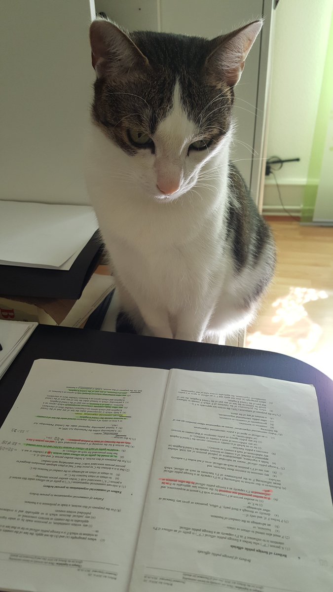 alfdorff's tweet photo. @AdvoCats4MEcfs I'm not making a big deal out of it. But of course you are absolutely right, without my help it would have turned out nothing. Rigorous supervision, one of my strengths!
Here you can see me reading up on some things. https://t.co/DhJsNXJc3j