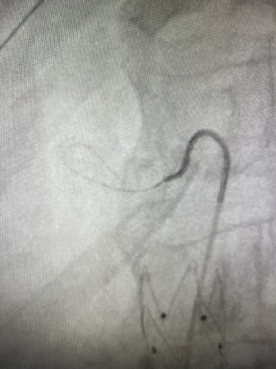 Brian Park MD, MS, CIIP tweet media