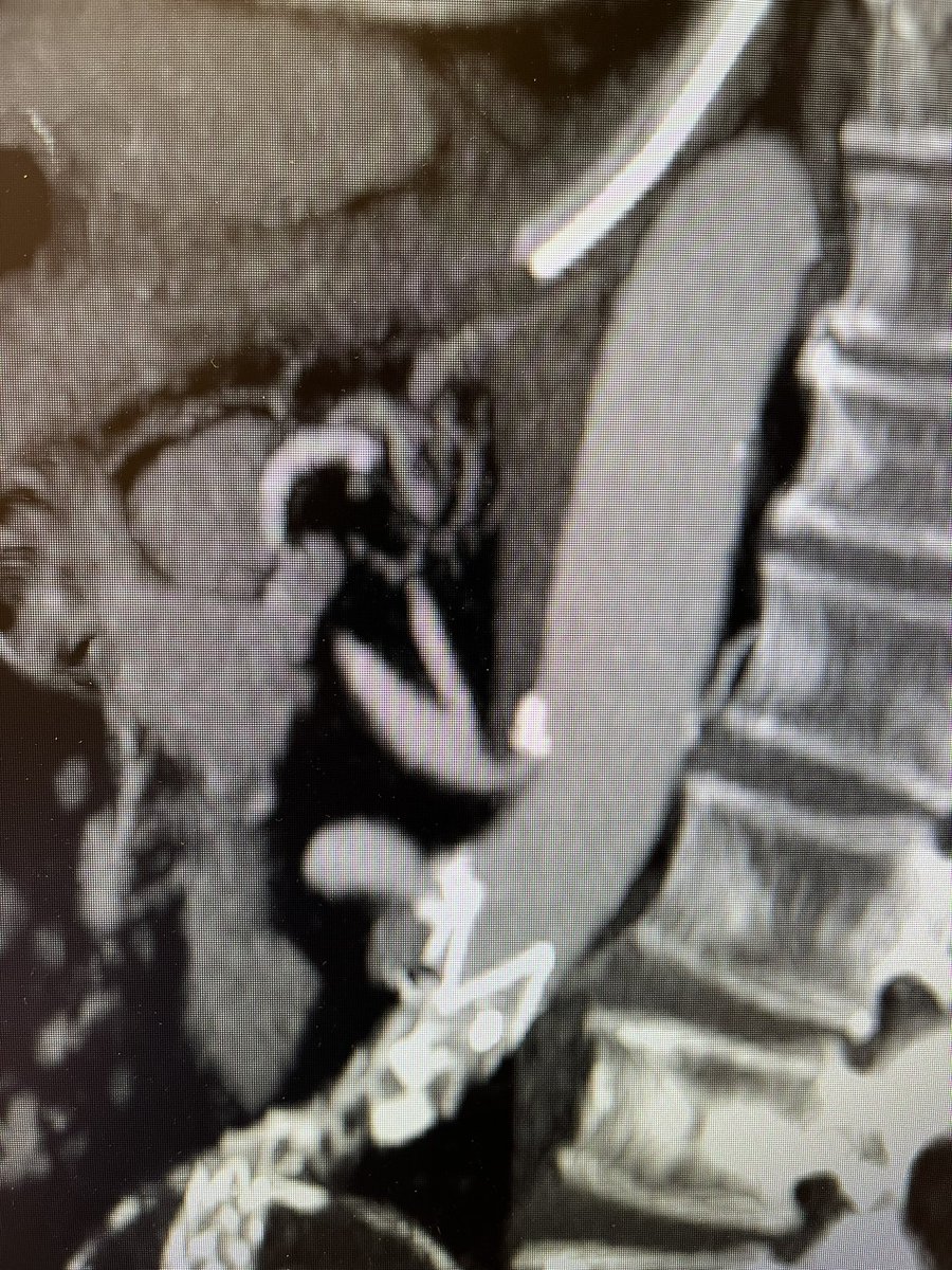 Brian Park MD, MS, CIIP tweet media