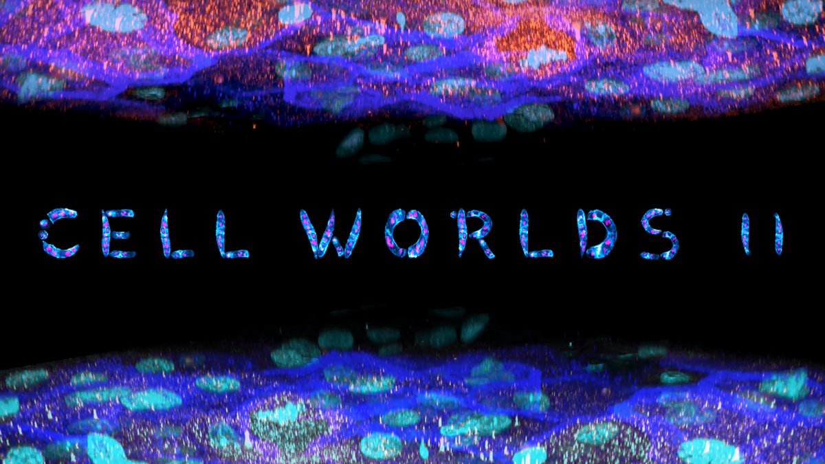 E X A L T I A (fermé) tweet media