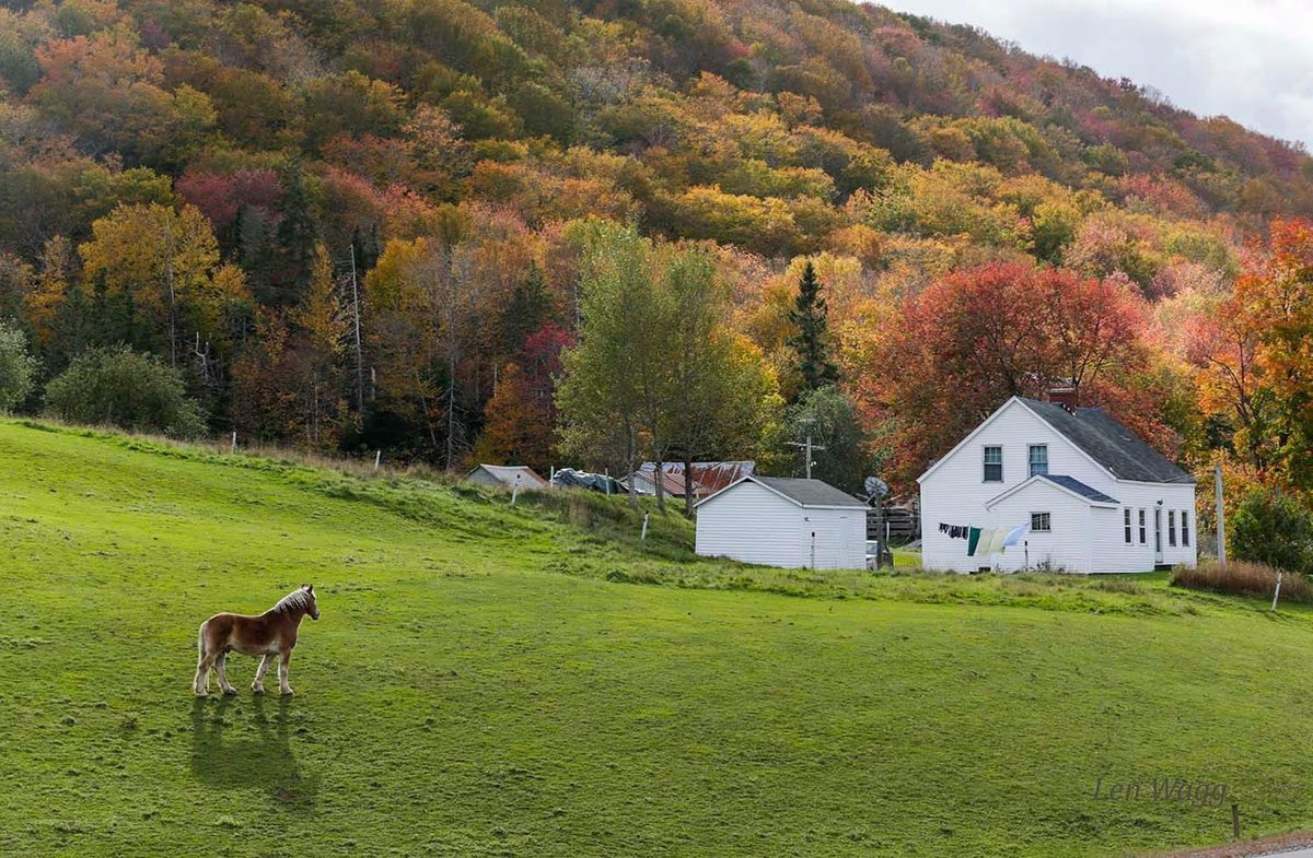 len wagg tweet media