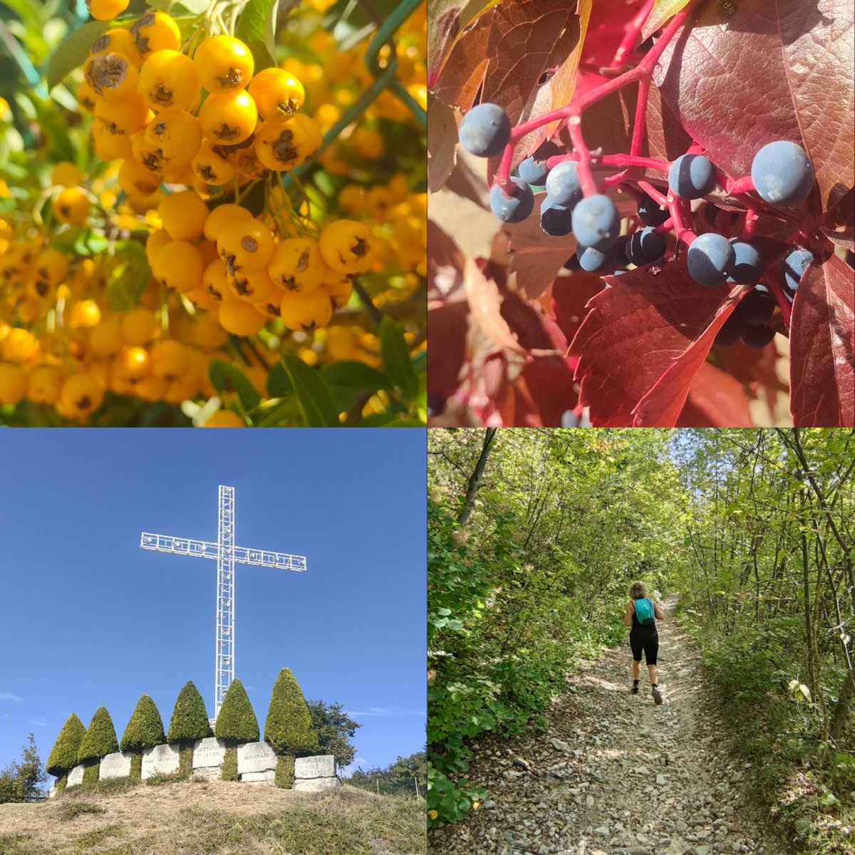 Breve escursione al magnifico borgo di S.Giorgio in Valpolicella con salita al Santuario del monte Solane. L'autunno estivo continua... #8ottobre