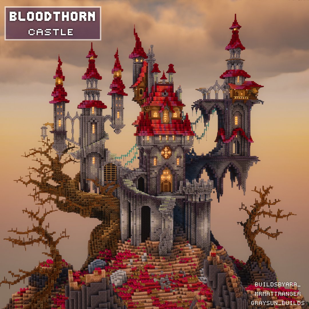 GraySun8151 tweet media